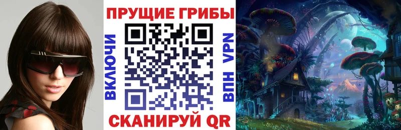 купить наркотики сайты  Глазов  Галлюциногенные грибы Cubensis 